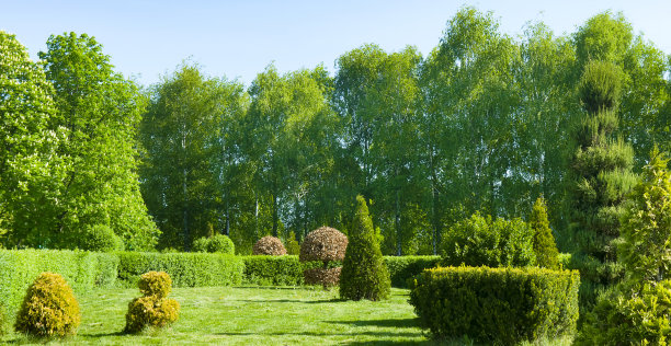 园景公园，有花园床，草坪上有各种树木和灌木，常绿植物和季节性植物。宽的照片。图片下载