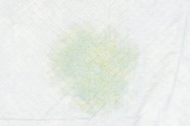 地毯上的黄色尿斑图片下载