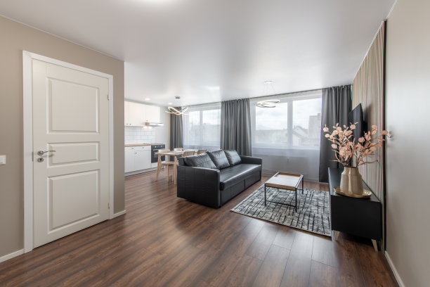 现代家庭客厅和厨房室内。豪华时尚的现代公寓。开放空间，时尚的黑色真皮沙发，白色家具，斯堪的纳维亚设计。浴室的门，电视屏幕图片下载