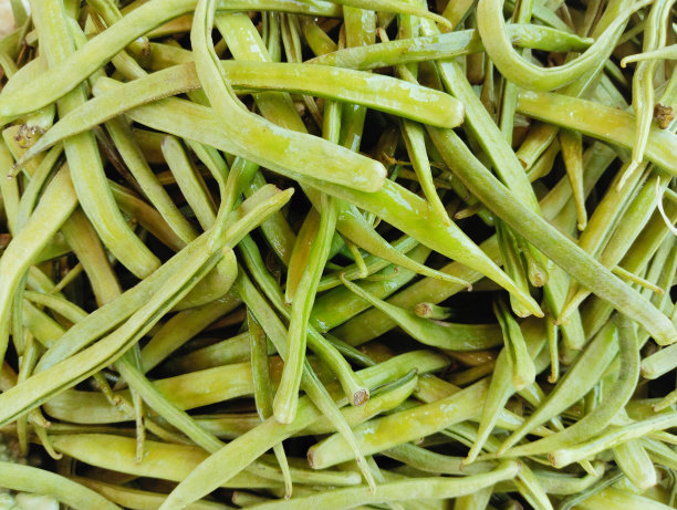 菜豆类蔬菜食品堆瓜尔豆、瓜尔豆、瓜尔豆、瓜尔豆、瓜尔豆、瓜尔豆等一年生豆科植物的图片照片。图片下载