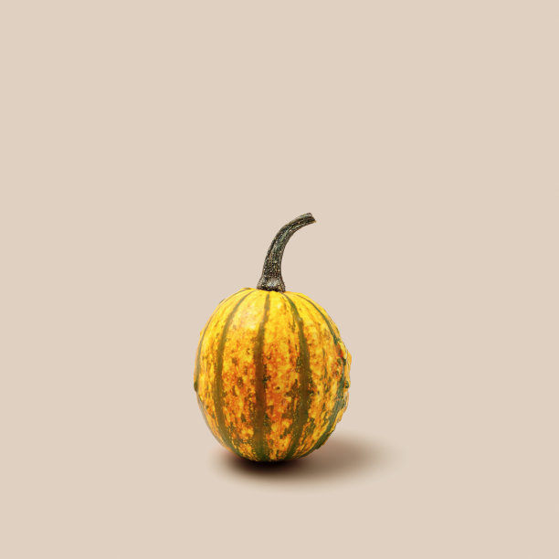 装饰南瓜米色背景与复制空间。极简风格的美学照片，秋天的概念，万圣节和感恩节的节日贺卡。迷你葫芦或南瓜，柔和的颜色，创意十足图片下载