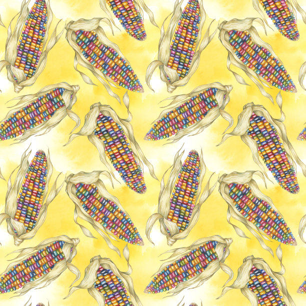 印度传家宝玉米无缝图案，彩虹棒子在抽象飞溅水彩背景。玉米织物印花服装，厨房，壁纸图片下载