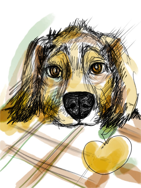 小狗的眼睛图片下载