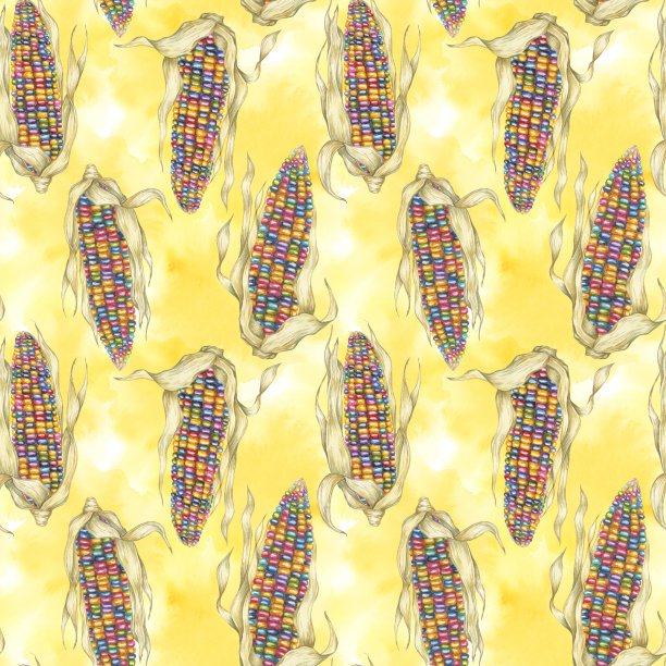 印度传家宝玉米无缝图案，彩虹棒子在抽象飞溅水彩背景。玉米织物印花服装，厨房，壁纸图片下载