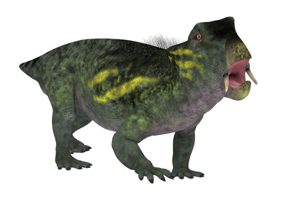 水龙张口图片下载