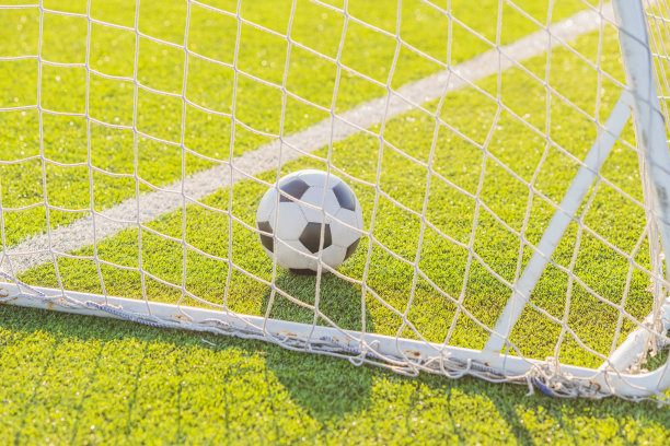 球门里的足球。足球。图片下载