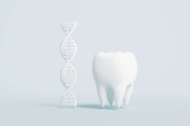 3d渲染牙齿医学图片图片下载