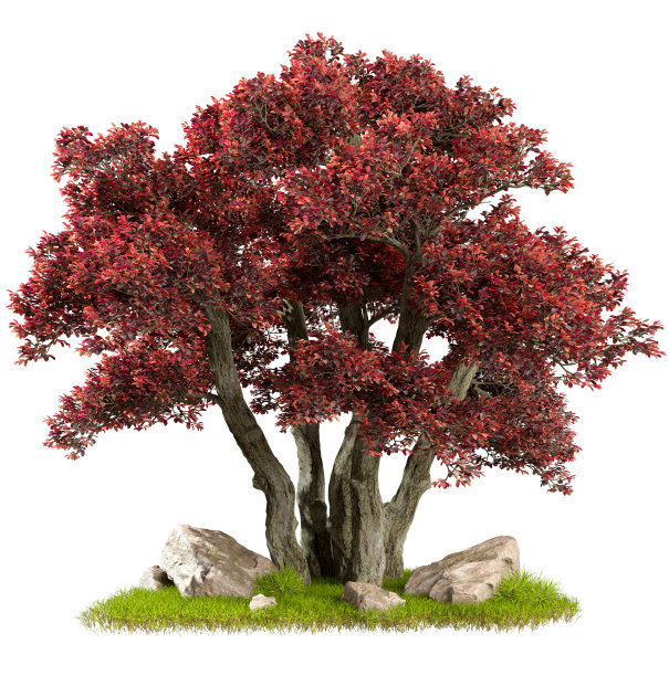 隔离在白色背景上的大树上的绿色草地景观3d渲染图片下载