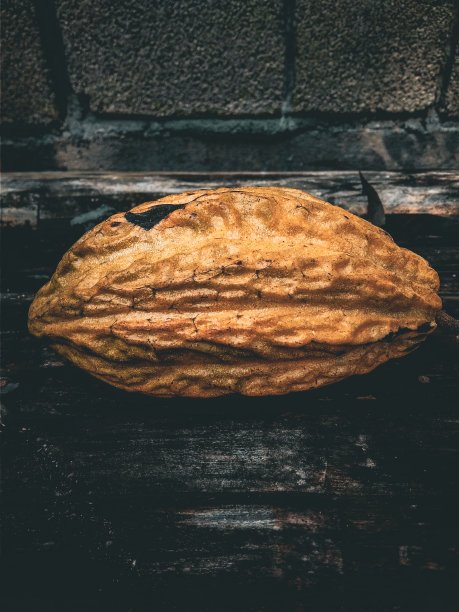 可可水果的背景，照片的巧克力水果与黑暗和复古的颜色。图片下载