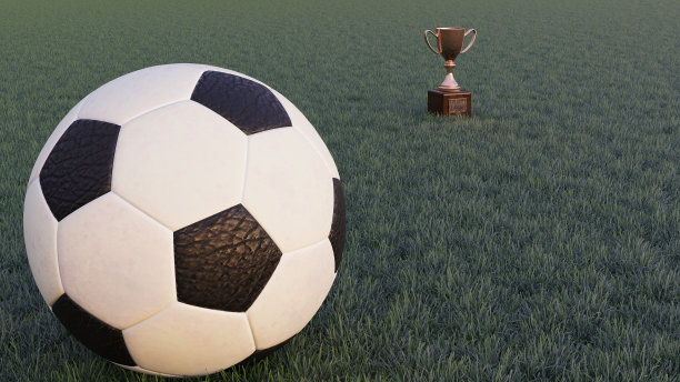 3D渲染的足球和金杯站在足球场上图片下载