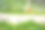 在公园的草地上，一只戴着伊丽莎白式项圈的狗的照片。巴斯克的牧羊人。图片下载