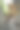 一只可爱的红色俄罗斯长毛Toi梗狗的特写照片，它坐在树上，摆姿势供摄影师拍照。图片下载