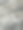 一棵桦树的叶子的全画幅照片图片下载