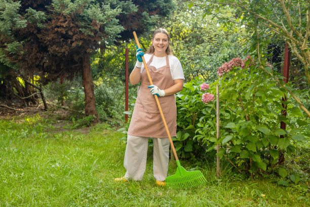 收集树叶。雌性正在用耙子耙树叶。一个女人在花园里用工具干活的照片图片下载