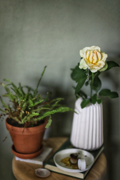 花瓶里的黄玫瑰和绿色蕨类植物的照片，在模糊的背景下选择性聚焦图片下载