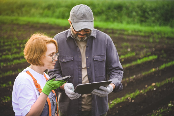 男女农民拿着平板电脑上网检查菜地的进度。图片下载