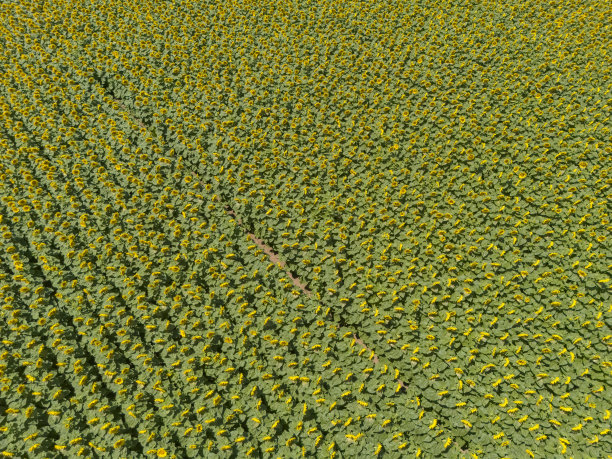 小企业、农业图片下载