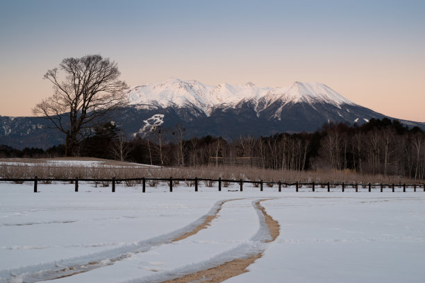 黎明前的高原图片下载