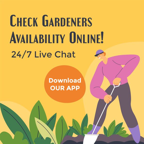 园林植物养护、保养、服务图片下载