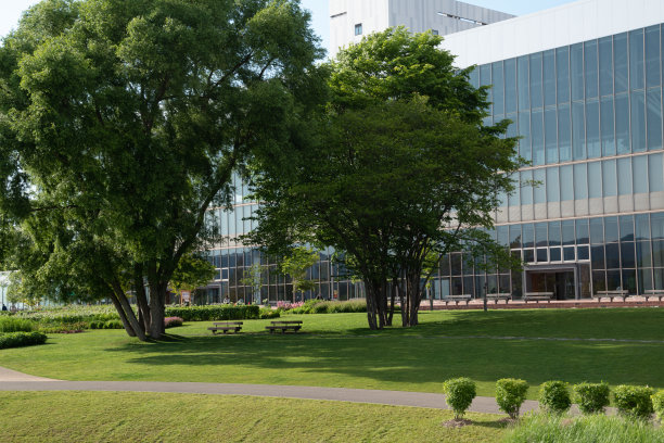 草坪上有树荫的长椅图片下载