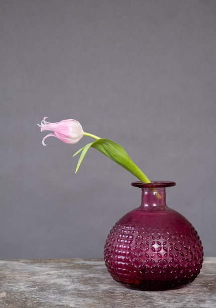 在一个美丽的花瓶在灰色背景上的茎上的粉红色精致的郁金香。审美照片，复制空间。图片下载