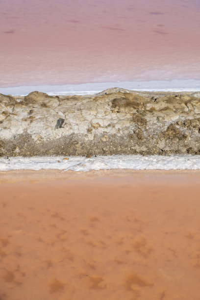 盐的花。内陆产盐在靠近海洋的盐滩沼泽地之间图片下载