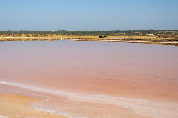 盐业。盐的花。工业开采大西洋沿岸沼泽间的海水中生长的盐。图片下载