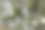 位于卡索拉、塞古拉和拉斯维拉自然公园的瓜达尔基维尔河诞生瀑布。图片下载