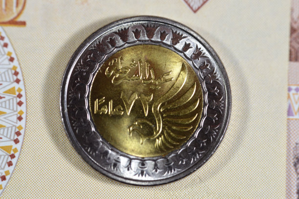埃及1LE EGP硬币和纸币（阿拉伯语翻译：警察节72周年纪念，埃及警察节纪念，埃及镑纸币上的猎鹰）图片下载
