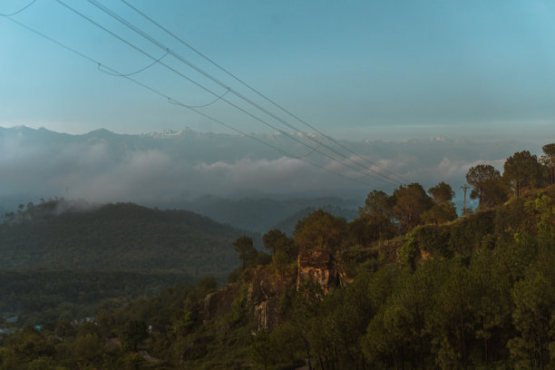 道拉达尔山脉美景-黄金时段的松树/冷杉林-蓝天图片下载