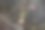 桃花儿图片下载