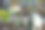 绿屋内部摆放着盆栽植物，桌上摆放着用于移植和照顾家庭植物的花莲图片下载