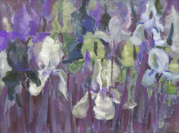 插画艺术油画风景花鸢尾花盛开在花坛上图片下载