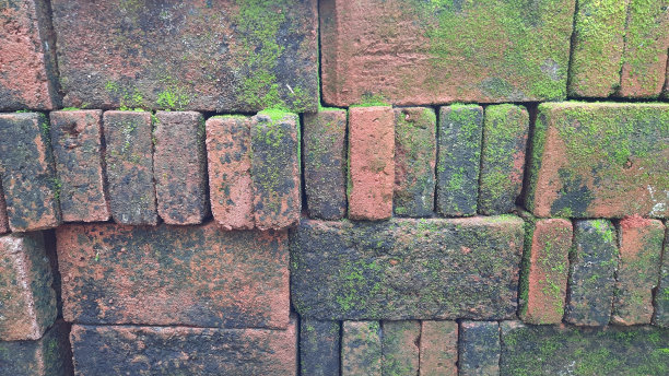 一堆长满苔藓的红砖的特写照片。孤立。建材选择重点青苔红砖、青苔石图片下载