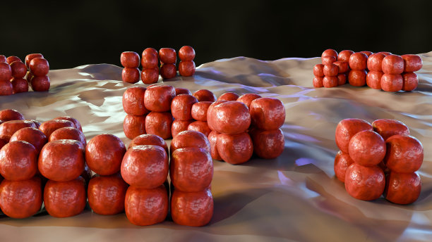 具有四分体特征形态的肌肉的三维渲染图片下载