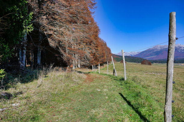 房子在山上，照片作为背景，秋天的树叶在坎西格利奥，贝卢诺威尼托意大利图片下载