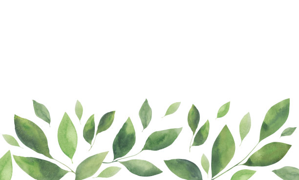 边框，绿色水彩茶叶，拉夫鲁什卡，柠檬在白色背景，手绘。图片下载