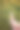 研究人员带着放大镜观察大麦植株，寻找植株中的错误，这样他们就可以开发出新的大麦品种。使用放大镜来帮助搜索的想法图片下载