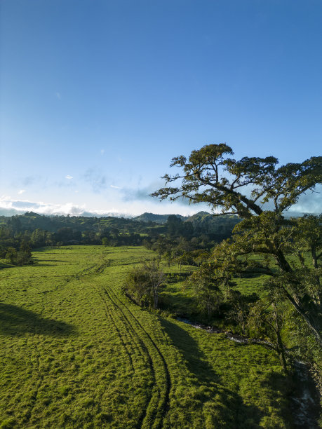 鸟瞰农场田野在夏季景观-库存照片图片下载