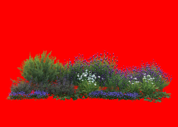 花卉三维绘制，地中海花园图片下载