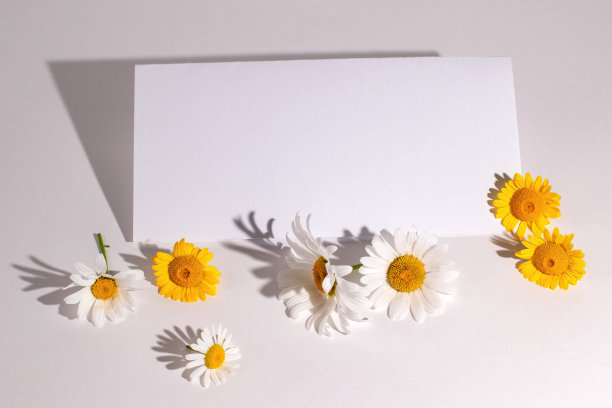 空白贺卡和雏菊洋甘菊花在一个白色的背景，模拟卡。本空间图片下载