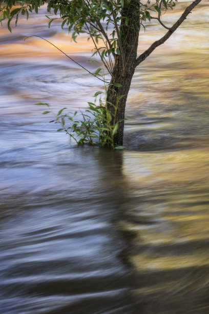 波河洪水期间的梦境图片下载