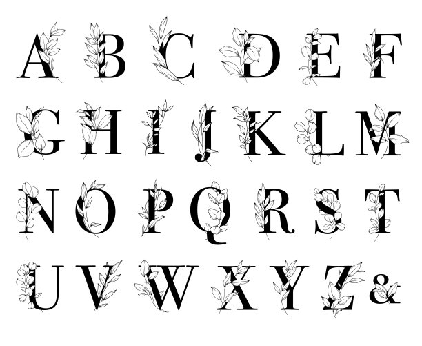 一组矢量字母与线艺术的叶子和树枝，花的字母表图片下载