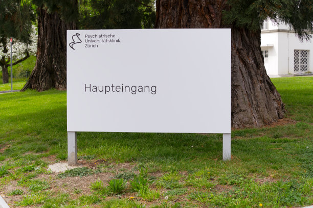 瑞士小镇上名为Burghölzli的精神病医院入口处的金属招牌。图片下载