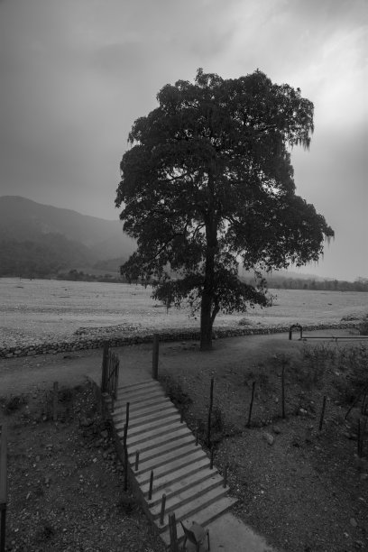 印度Buxa老虎保护区内Jayanti河床日出的黑白照片。图片下载