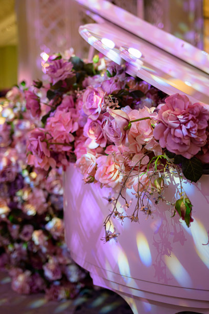 花卉交响曲:粉红灯光下的白钢琴图片下载