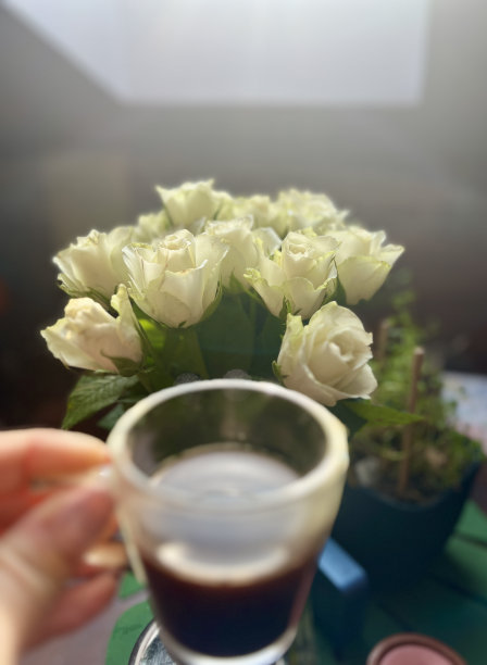 花瓶里插着白玫瑰，桌上放着一杯咖啡图片下载