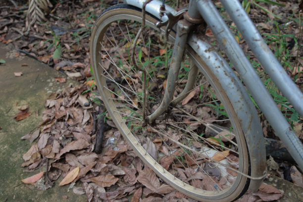 古董自行车轮胎图片下载