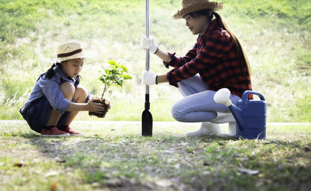 在陆地上生长和种植的生态树苗。手孩子团队工作，保护和减少全球变暖的地球。生态系统概念图片下载