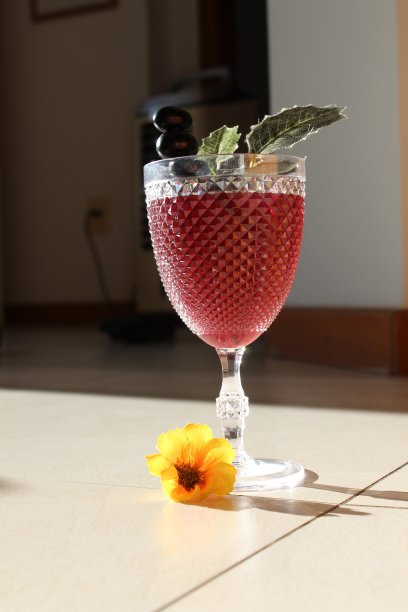 酒吧、餐厅和庆祝活动的鸡尾酒照片图片下载